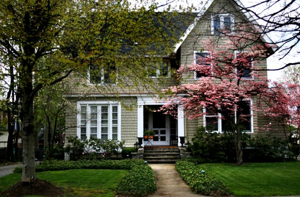 Ornamental Tree Planting in Bountiful