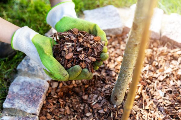 Tree Bark Delivery in Bountiful