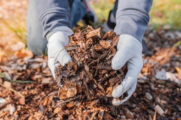 Shredded Mulch Installation in Bountiful