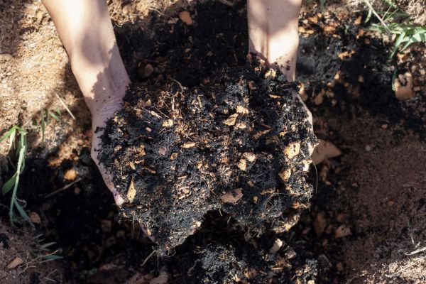 Organic Mulch Installation in Bountiful