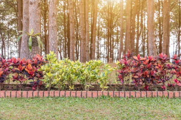 Small Garden Landscaping in Bountiful