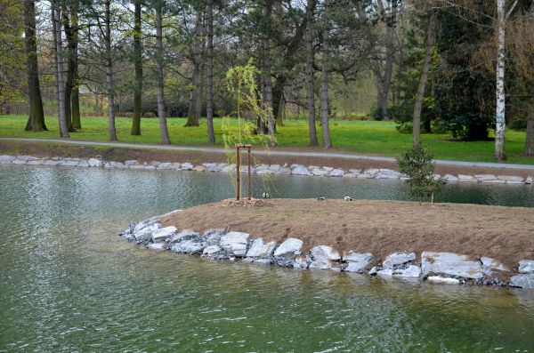 Pond Landscaping Service in Bountiful