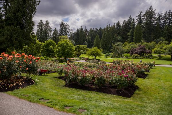 Flower Garden Landscaping in Bountiful