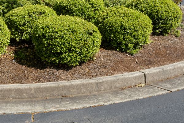 Pine Mulch Installation in Bountiful