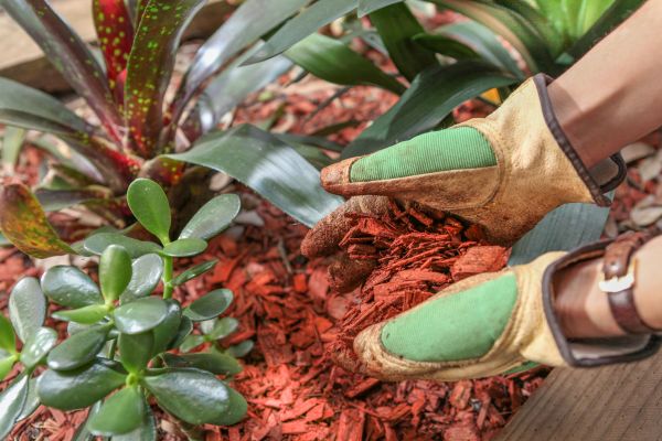 Residential Mulching in Bountiful