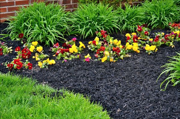 Apartment Mulching in Bountiful